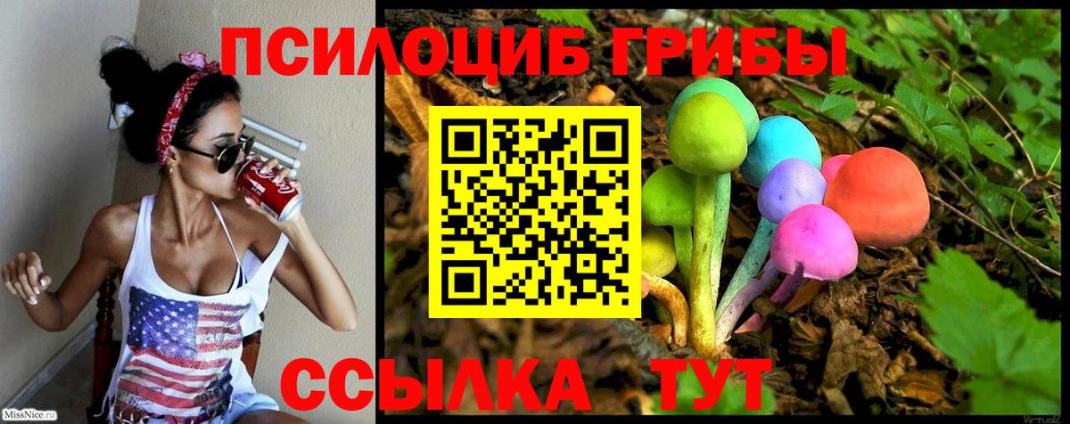 Псилоцибиновые грибы ЛСД Каменск-Уральский