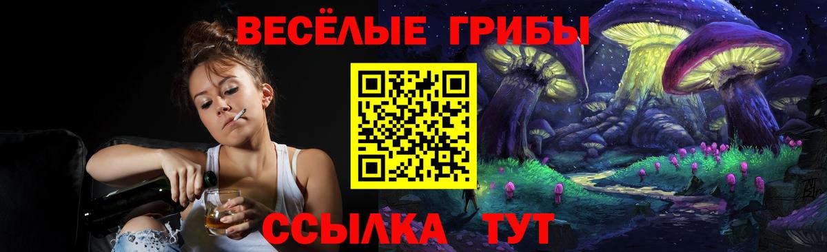 Каменск-Уральский  Галлюциногенные грибы Magic Shrooms  Вход с VPN  Псилоцибиновые грибы ЛСД 